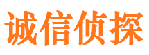 攸县诚信私家侦探公司